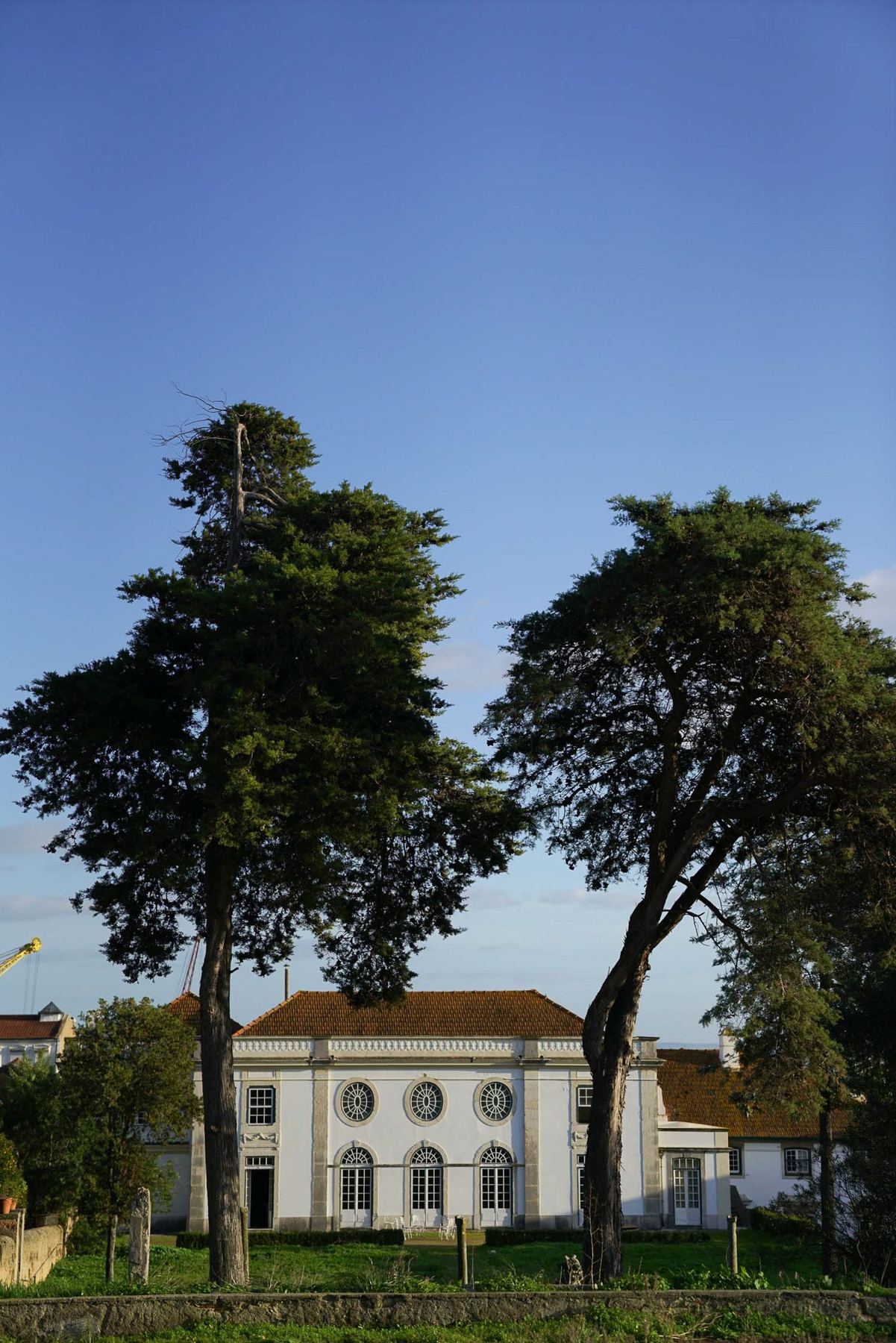 Vista exterior do Palácio do Grilo, um edifício barroco branco com telhado de terracota, enquadrado por duas árvores altas sob um céu azul, em Lisboa.