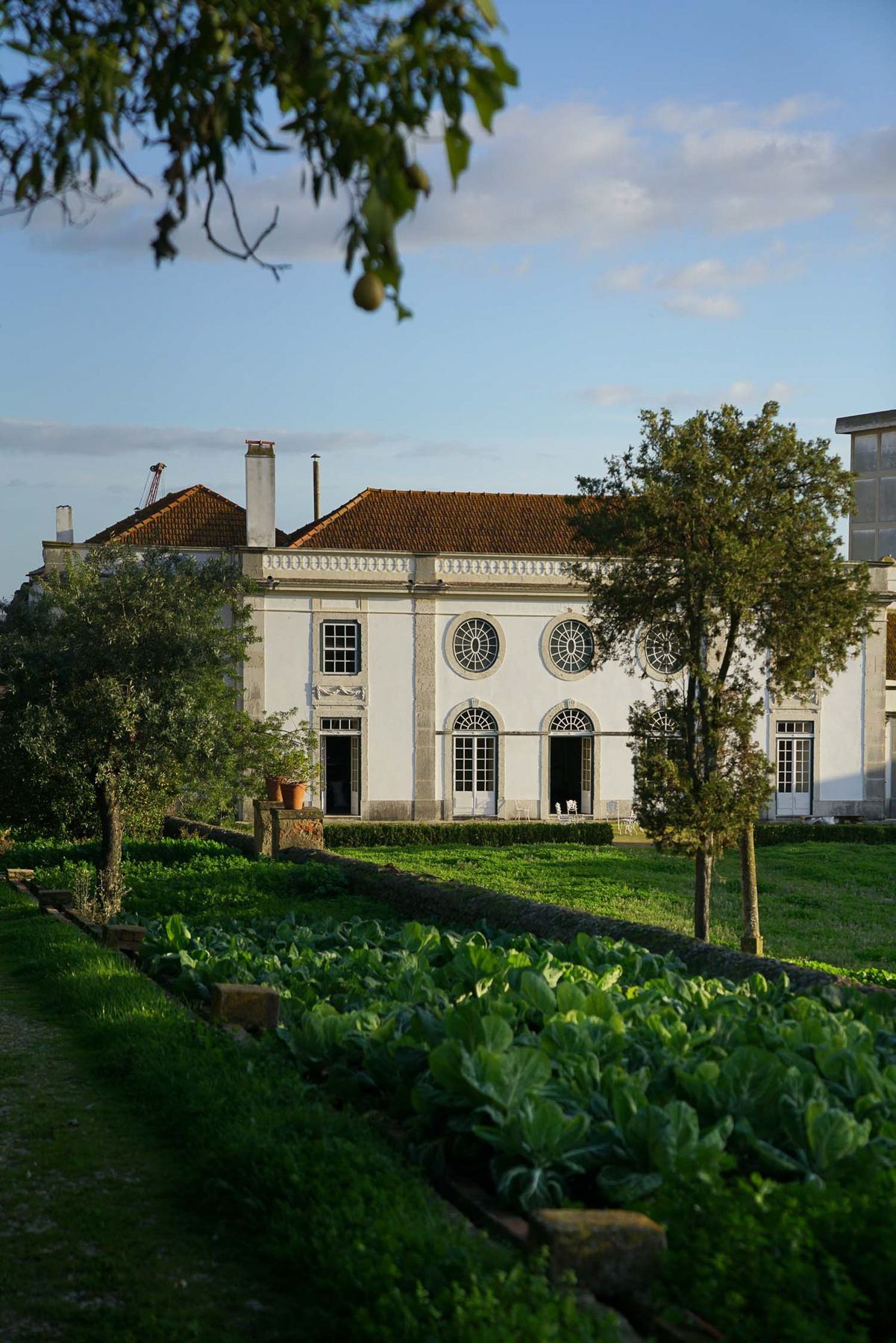 Vista exterior do Palácio do Grilo em Lisboa, mostrando a fachada barroca branca e jardins de couves ao entardecer.