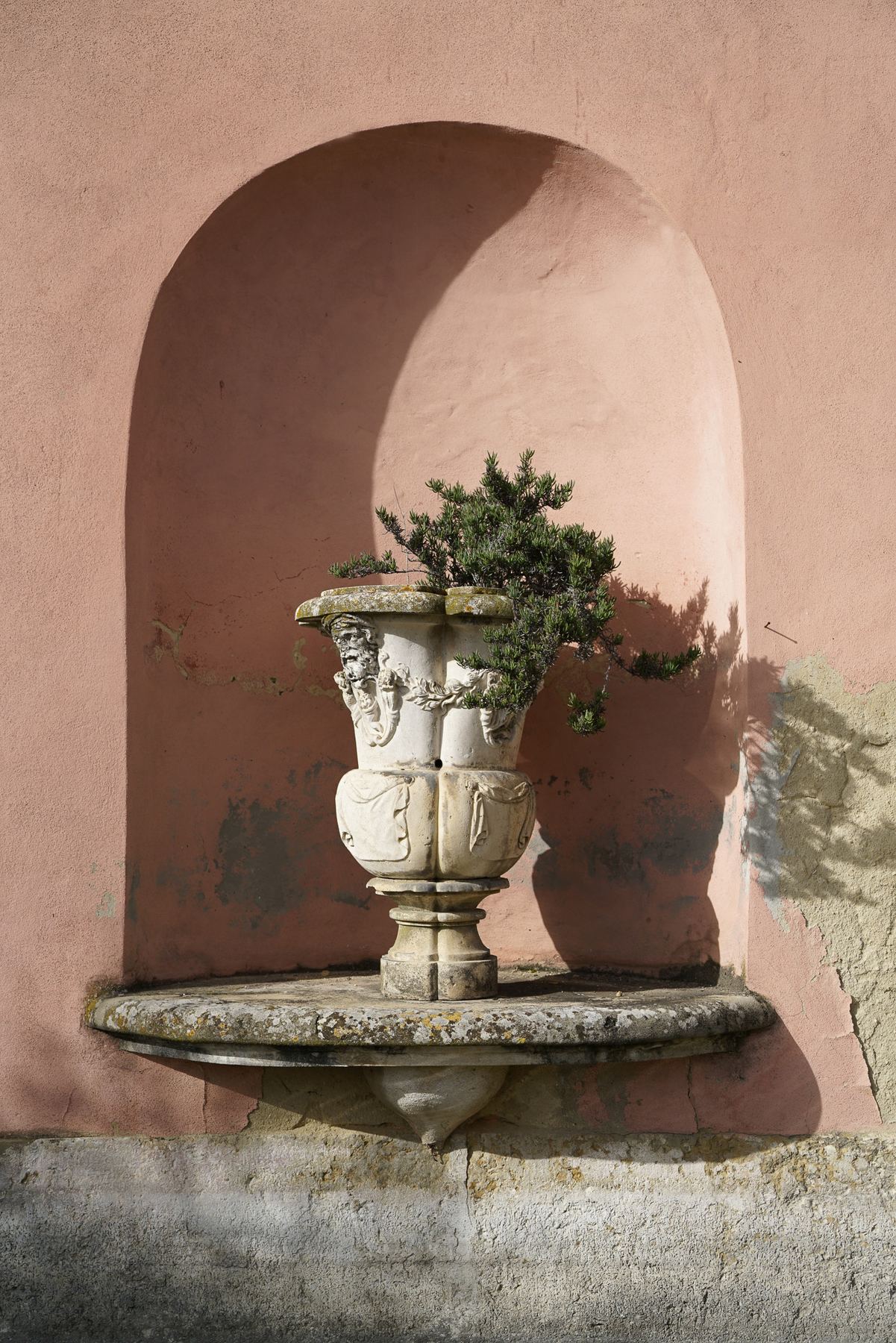 Um vaso de pedra decorativo com vegetação está dentro de um nicho arqueado numa parede rosa-salmão do Palácio do Grilo.