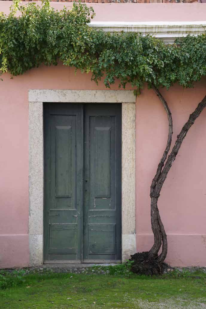 Palácio do Grilo — página 96