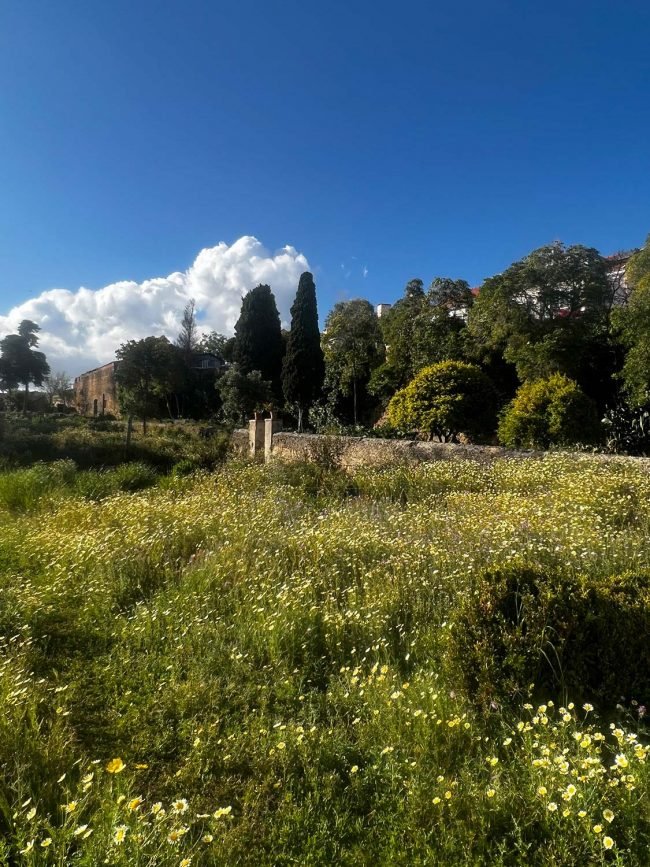 06-palacio-do-grilo-09