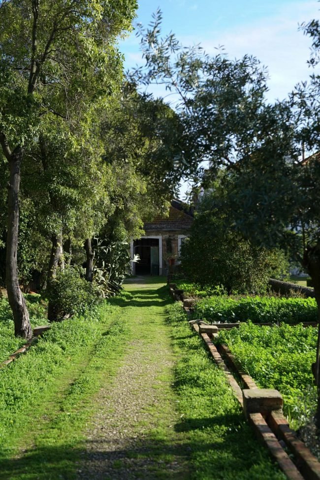 Palacio-do-grilo-jardim-10