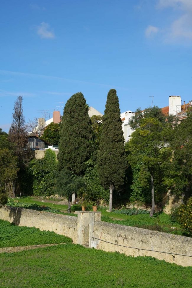 Palacio-do-grilo-jardim-8