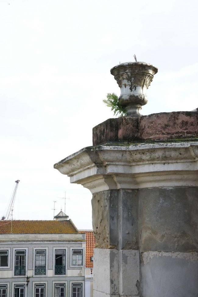 Palacio-do-grilo-pátio-5